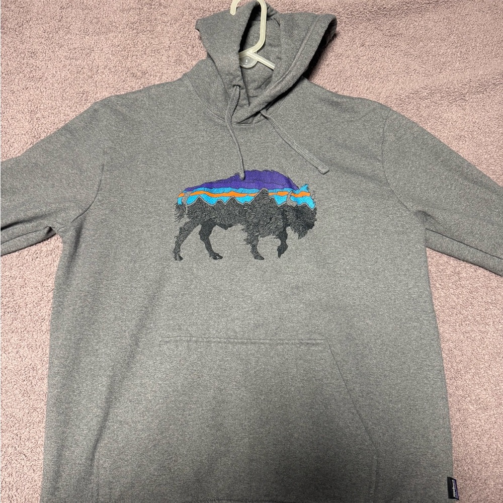 Patagonia Men’s hoodie